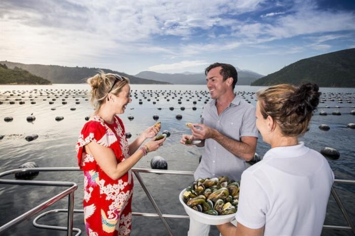 Greenshell Mussel Cruise - 2x Adult