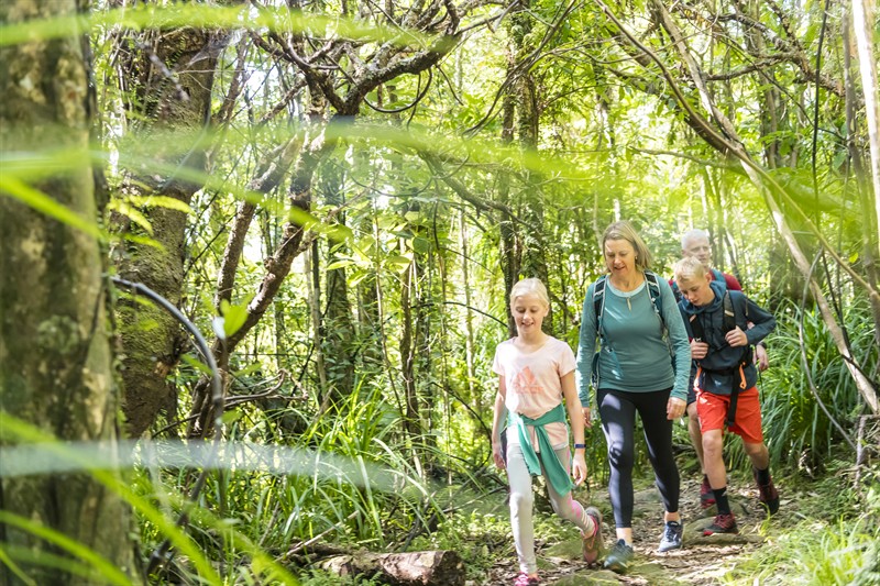 Family Cruise and Walk - 2x Audlts + 2x Children